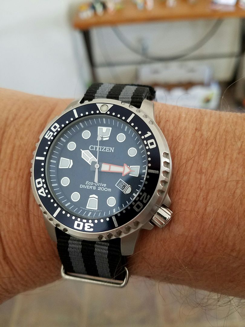 citizen promaster vs seiko prospex